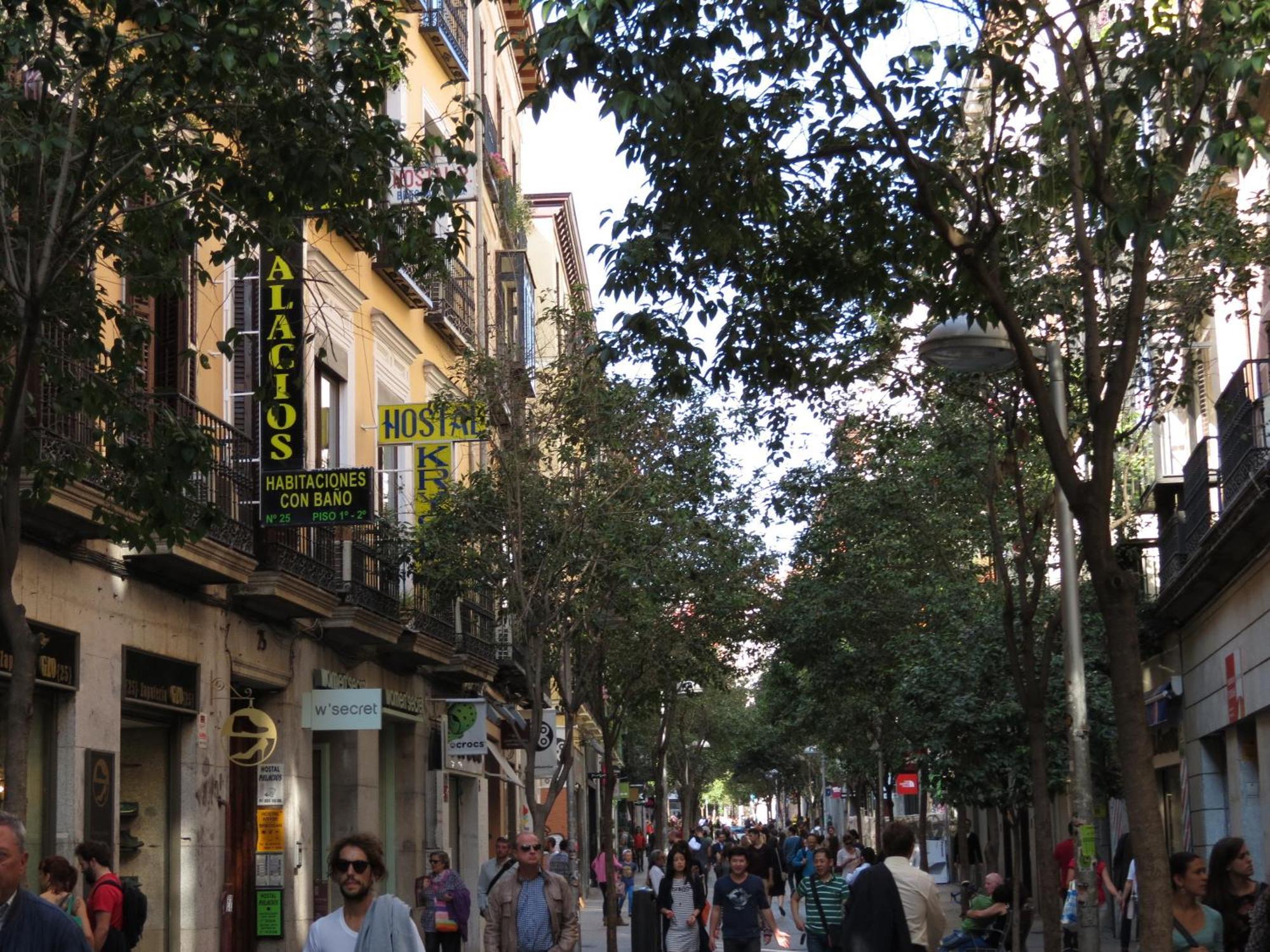 Economy Single Room with Shared Bathroom,298310284:JPEG