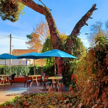 Hostal Aravaca Garden-2