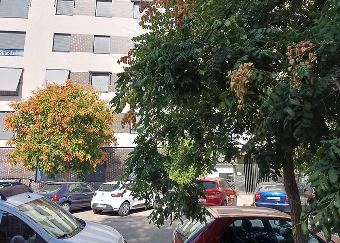 Estudios Nuevos Madrid Centro