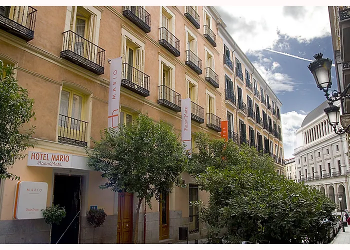 Room Mate Mario Madrid